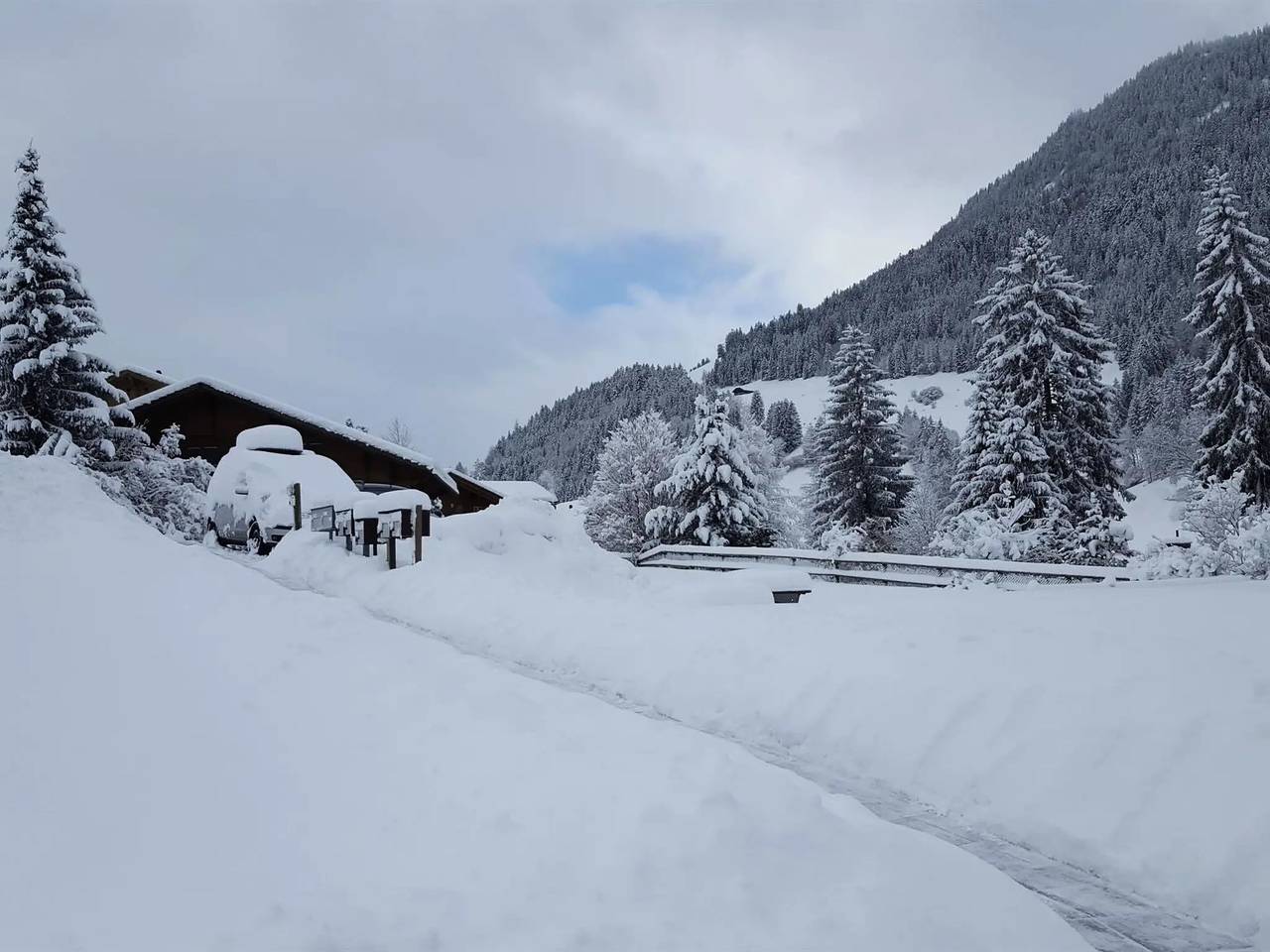 Ganze Wohnung, 4 Pièces 7 Personnes in Saanenmöser, Zweisimmen