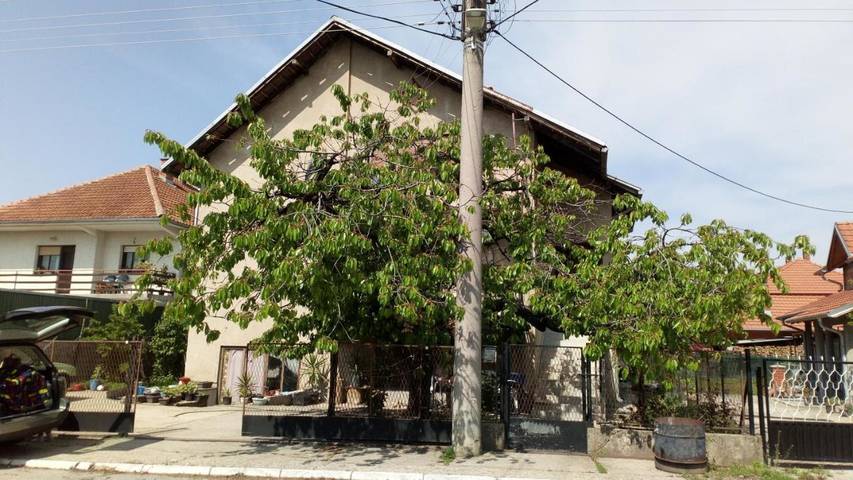 Gîte pour 6 personnes, avec jardin et vue à Kladovo - 4