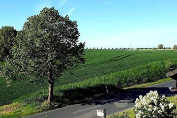 Ferienwohnung für 4 Personen, mit Garten in Laage