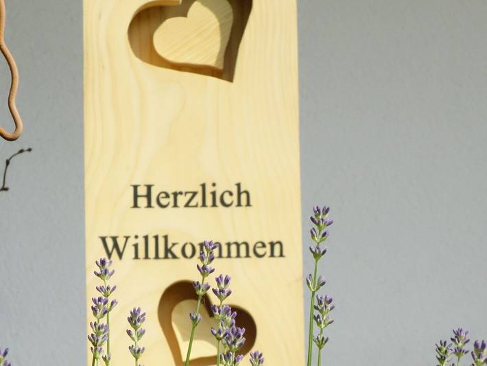 Ganze Ferienwohnung, Ferienwohnungen Braun - Ferienwohnung "Rebbergblick" in Seelbach, Mittlerer Schwarzwald
