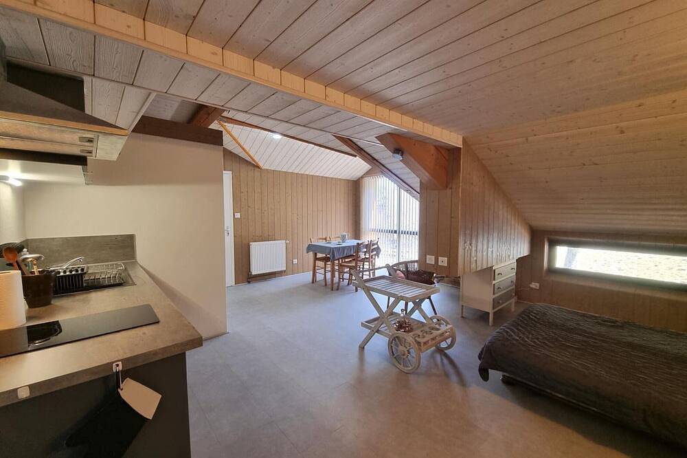 Gîte spacieux avec cheminée et terrasse en forêt, animaux acceptés in La Versanne, Parc Naturel Régional du Pilat