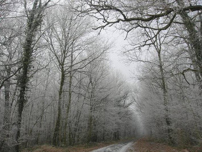 Location de vacances pour 3 personnes, avec jardin à Futeau - 3