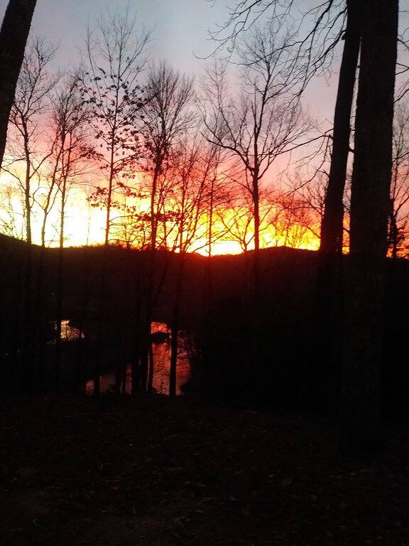 Cabin with two trout rivers onsite. Brevard and Pisgah National Forest close by. in Transylvania County