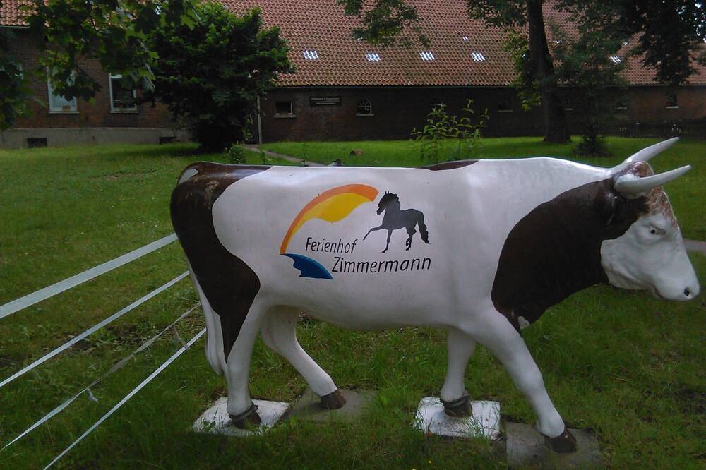 Ganze Wohnung, Ferienhof mit Ponys in Stollhamm, Butjadingen