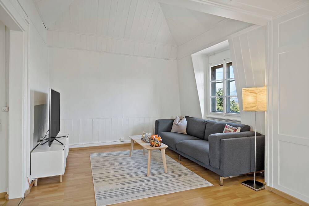 Entire apartment, Cozy Apartment with Mountain Views, 15 Minutes from Luzern in Emmen (Switzerland), Lake Lucerne