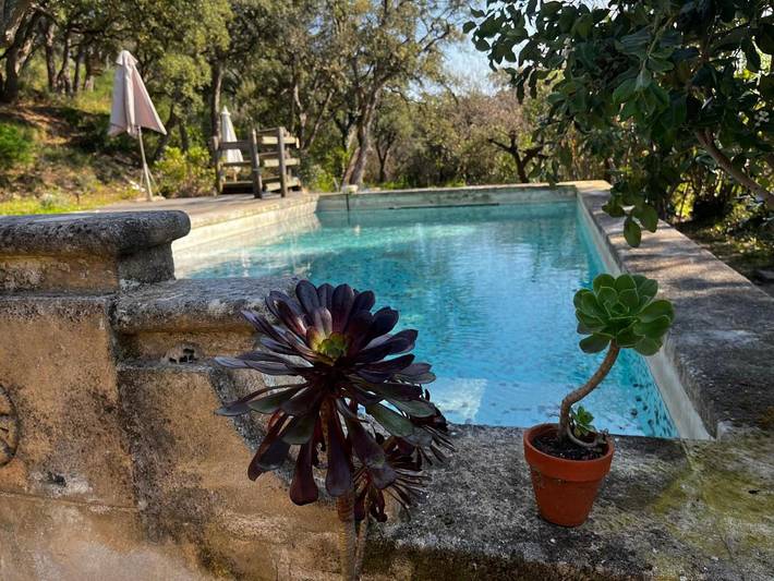 Location de vacances pour 12 personnes, avec terrasse et piscine ainsi que vue et sauna à La Celle-sous-Gouzon - 2