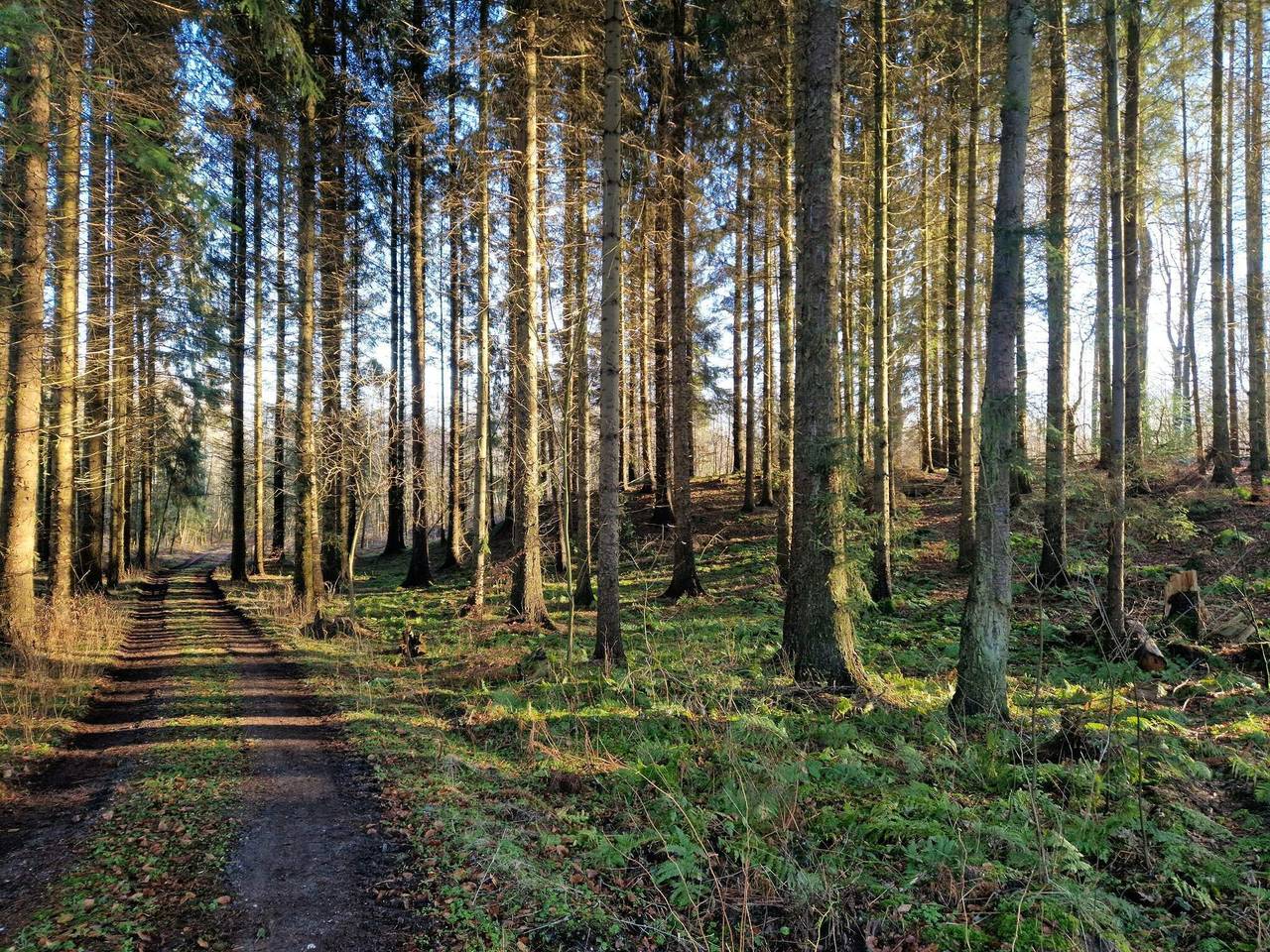 Strandparadies mit offener Terrasse in Bjert, Kleiner Belt