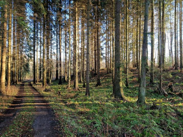 Ferienhaus für 6 Personen, mit Terrasse, mit Haustier in Kleiner Belt - 3