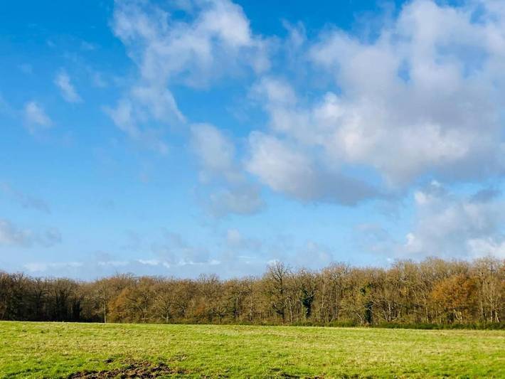Location de vacances pour 6 personnes, avec terrasse à Montamisé - 3