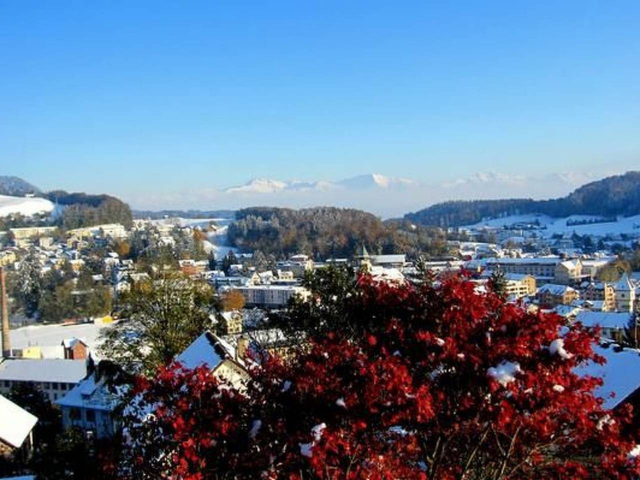 Ganze Wohnung, Pilgerwohnung in Wald (ZH), Kanton Zürich