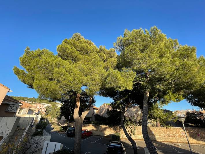Gîte pour 4 personnes, avec terrasse dans Plage de La Corniche - 3