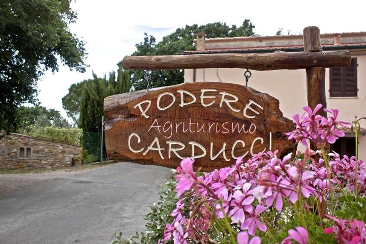 Ferienwohnung für 3 Personen, mit Garten und Ausblick, mit Haustier in Castagneto Carducci - 2