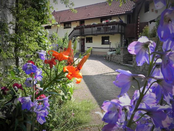 Ganze Wohnung, Ferienwohnung BogenTenne - Ferienwohnung in einem historischen Fachwerkhaus aus dem Jahre 1740 in Eußenheim, Maindreieck