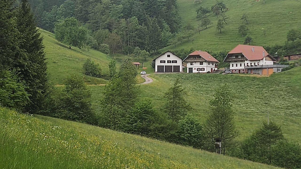 Ganze Ferienwohnung, Ferienwohnung für 3 Personen (50 m²) in Oberharmersbach in Oberharmersbach, Mittlerer Schwarzwald