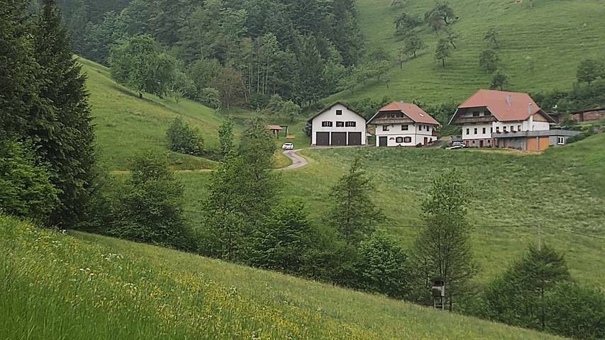 Gîte pour 3 personnes, avec balcon et jardin à Oberharmersbach - 2