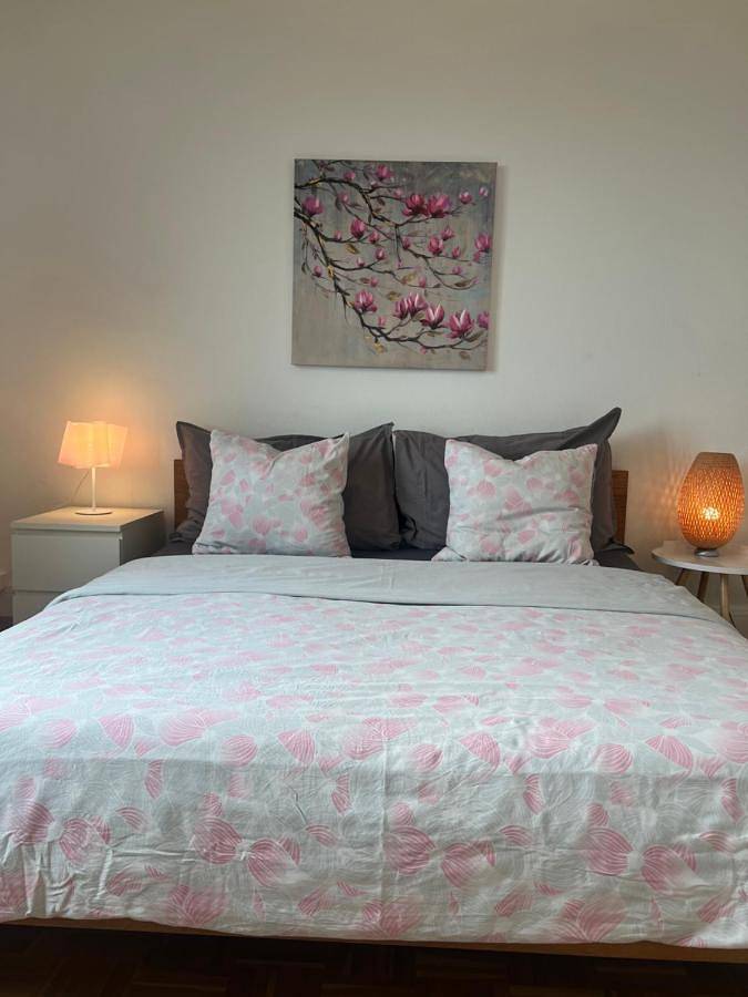 Gîte pour 7 personnes, avec vue ainsi que vue sur le lac et jardin à Neuchâtel - 2