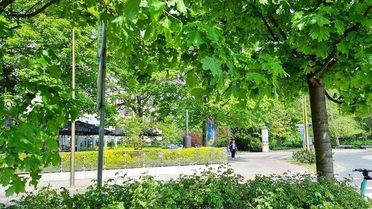 Entire holiday apartment, Ferienwohnung für 4 Personen (29 m²) in Swinemünde in Świnoujście, Szczecin Lagoon