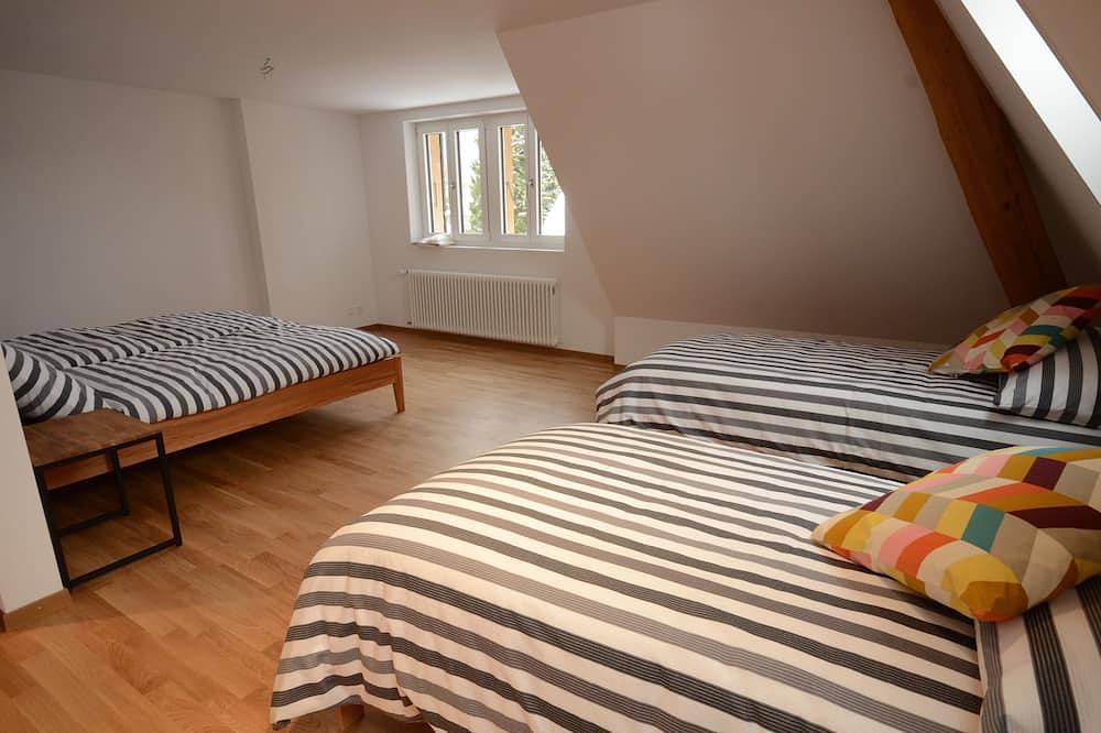 Boutique Villa, sleeps 16, center of Interlaken. parking and garden in Interlaken, Lake Thun