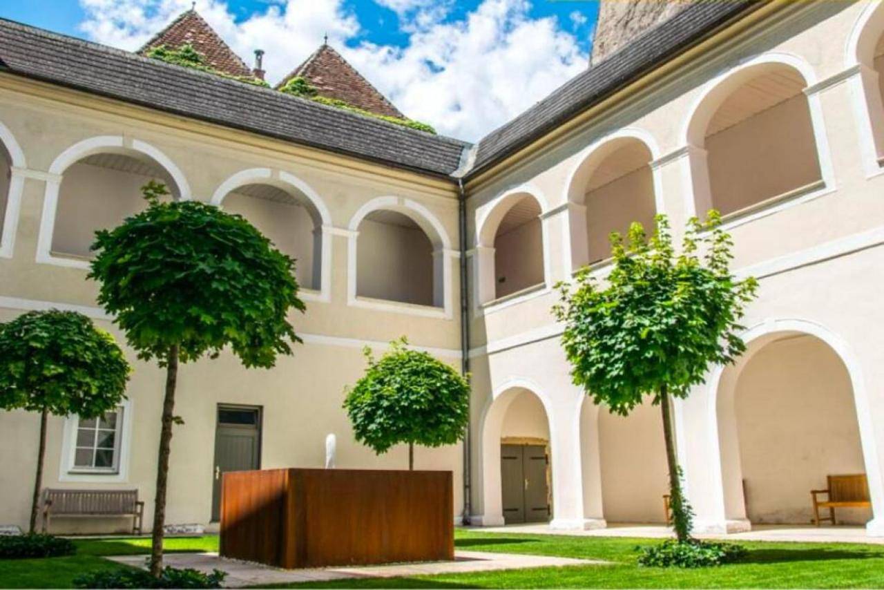 Ganze Wohnung, Smile Apartments zur Gozzoburg in Krems an der Donau, Donau Niederösterreich