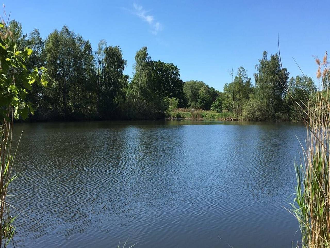 Ganze Ferienwohnung, Ferienwohnung Verena Wunderlich in Schlepzig, Dahme-Spreewald
