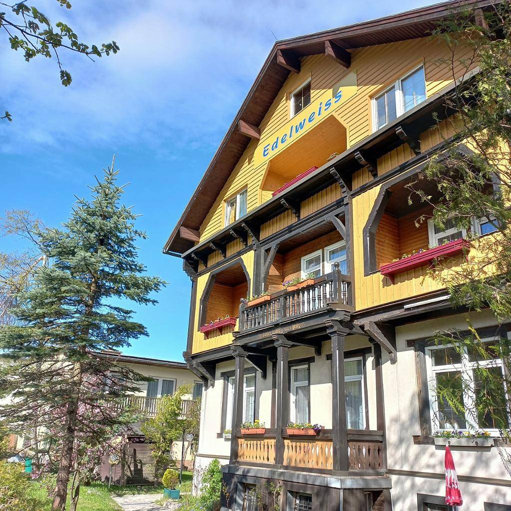 Gasthof Edelweiss - Einbettzimmer mit Minibar in Semmering, Bezirk Neunkirchen