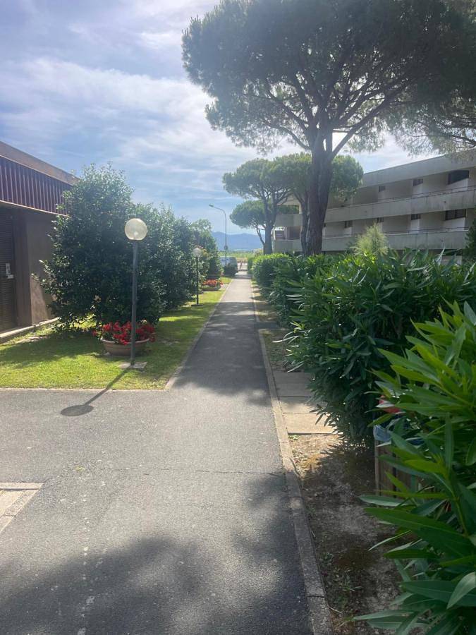 Ferienwohnung für 3 Personen, mit Balkon und Terrasse sowie Garten und Pool in Marina di Bibbona - 4