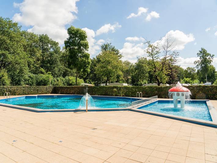 Ferienhaus für 4 Personen, mit Pool und Garten in Overijssel - 2