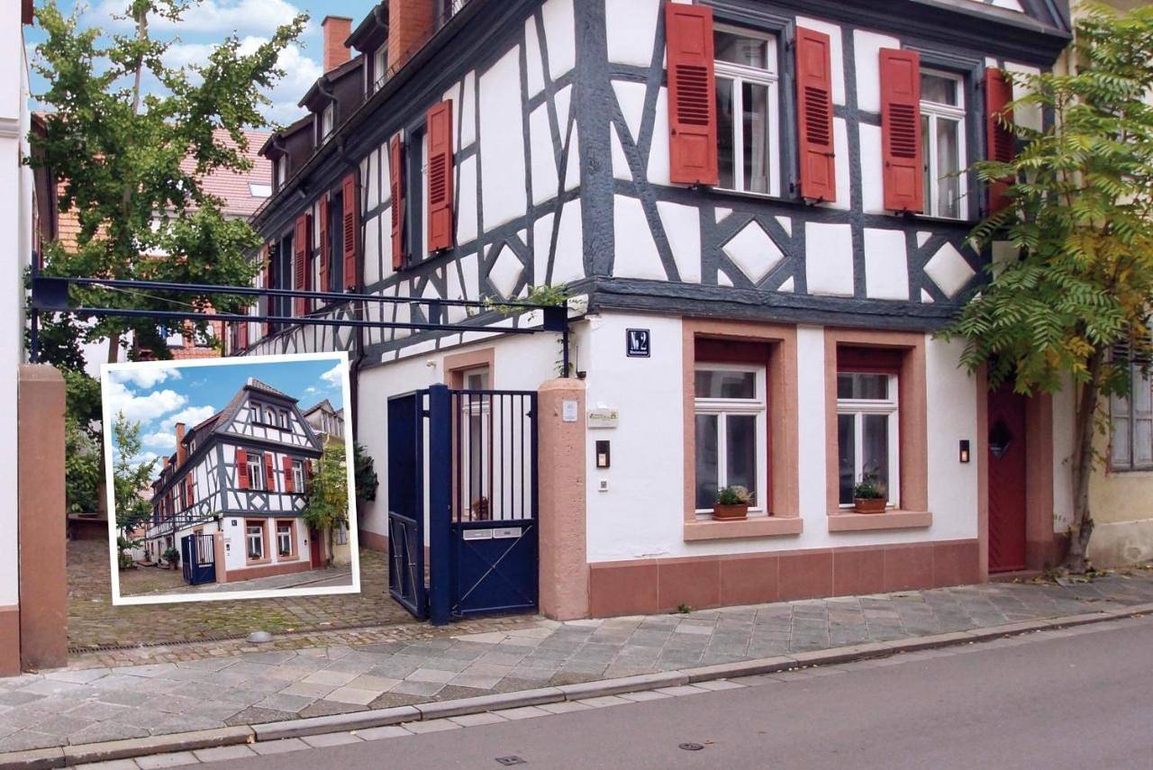 Ganze Wohnung, Rheintor-Apartment in Speyer, Rheinebene