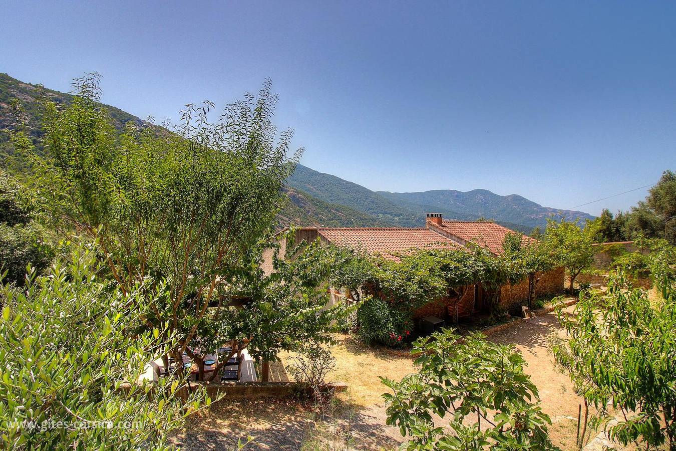 La Cardiccia in Balogna, Parc naturel régional de Corse