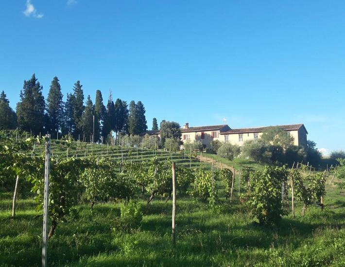 Chambre d’hôte pour 2 personnes, avec vue et jardin en Toscane - 2