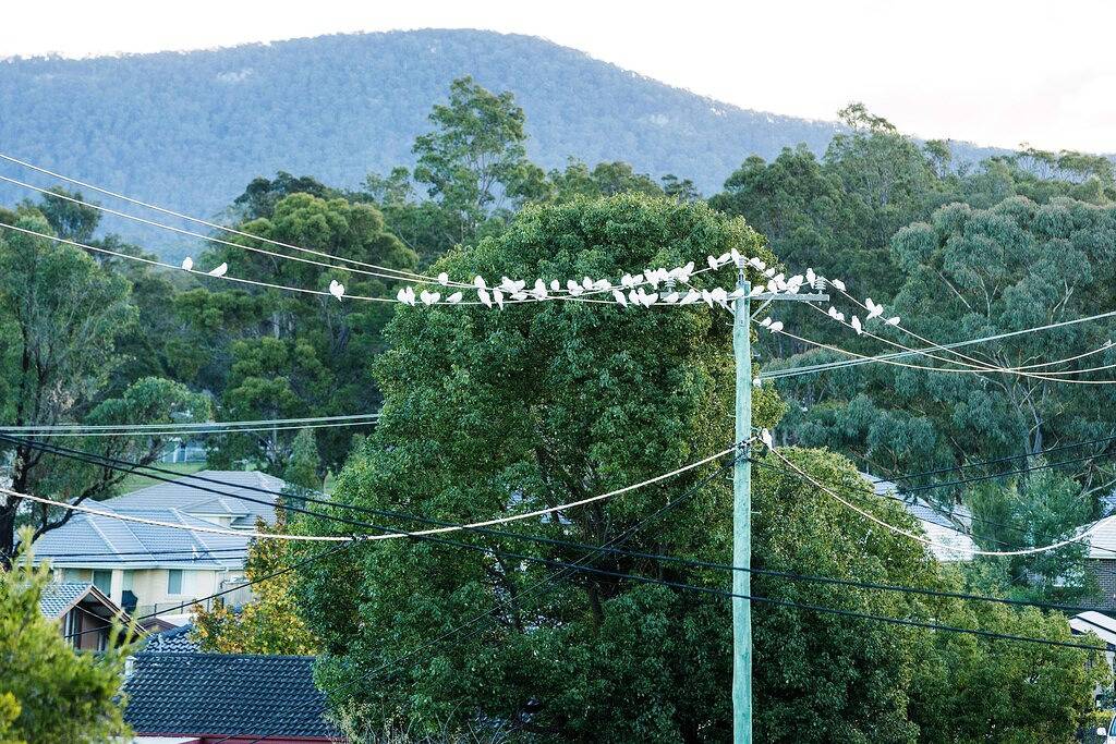 Ganze Wohnung, Wifi - Netflix - Stan - Weingüter - Konzerte - Hochzeiten - Gärten - Zoo - Hunter in Cessnock, Hunter Valley