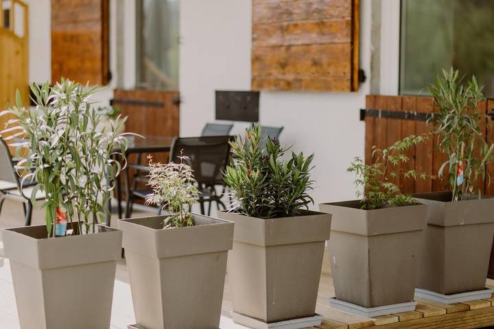 Maison de vacances pour 5 personnes, avec terrasse et jardin