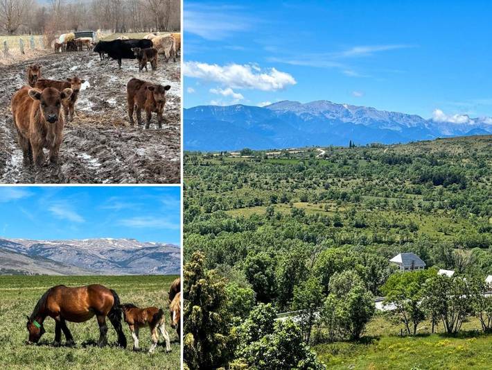 Gîte pour 2 personnes, avec jardin et sauna ainsi que vue et piscine à Enveitg - 2