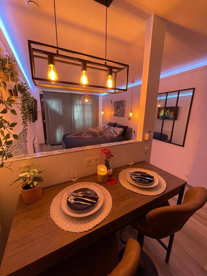 Gîte pour 2 personnes, avec terrasse et jacuzzi, animaux acceptés à Pontault-Combault - 4
