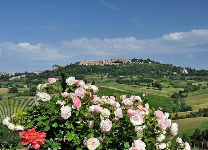 Geheel appartement, Agriturismo La Creta in Montepulciano, Provincie Siena