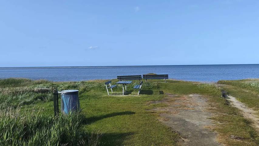 Ferienhaus für 15 Personen, mit Pool und Whirlpool sowie Sauna und Terrasse in St. Sjørup - 4