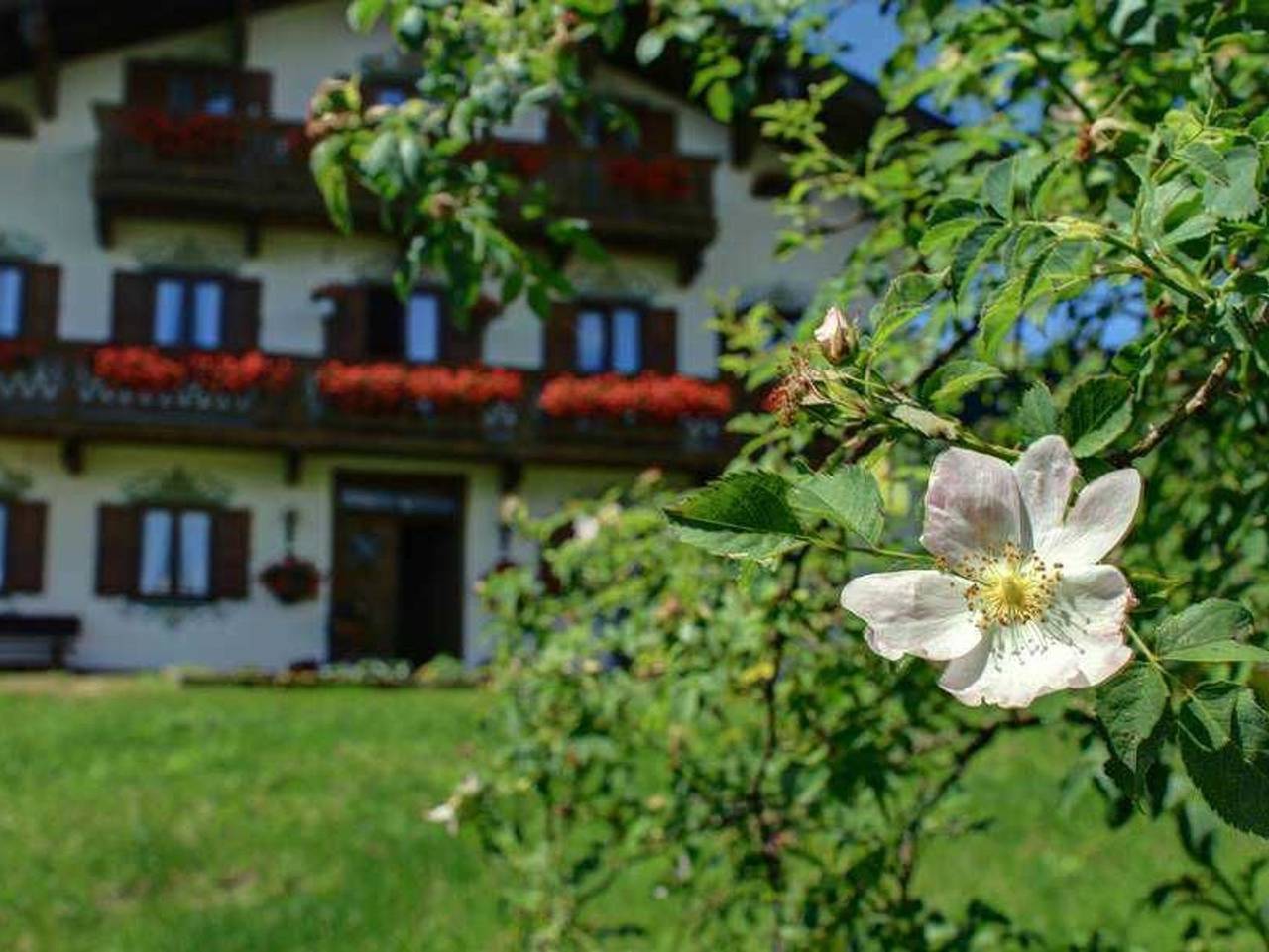Oberreiterhof - Ferienwohnung Almsommer in Bad Wiessee, Bayerische Alpen