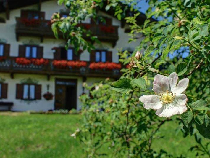 Bauernhaus für 2 Personen, mit Seeblick und Ausblick sowie Garten am Tegernsee - 2