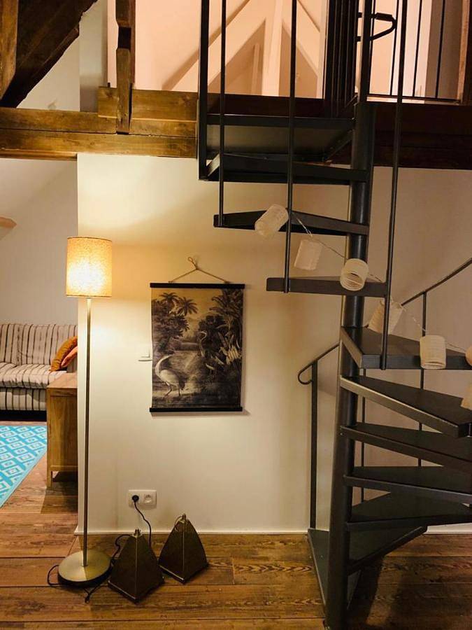 Gîte pour 3 personnes, avec terrasse et jardin à Bornem - 4