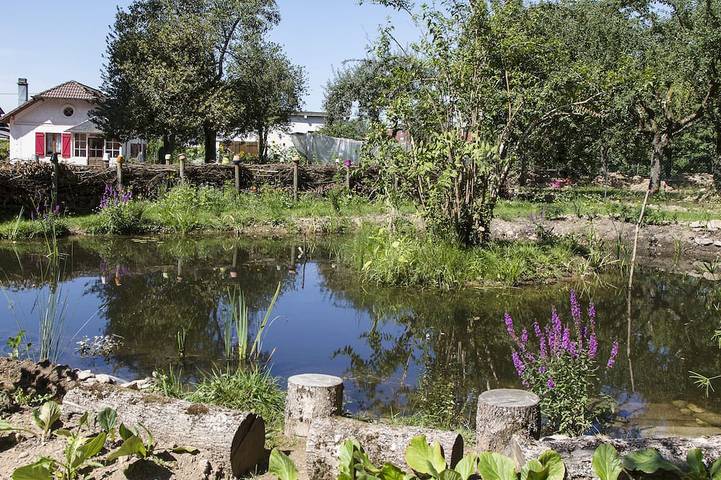 Location de vacances pour 4 personnes, avec terrasse et jardin à Anould - 4