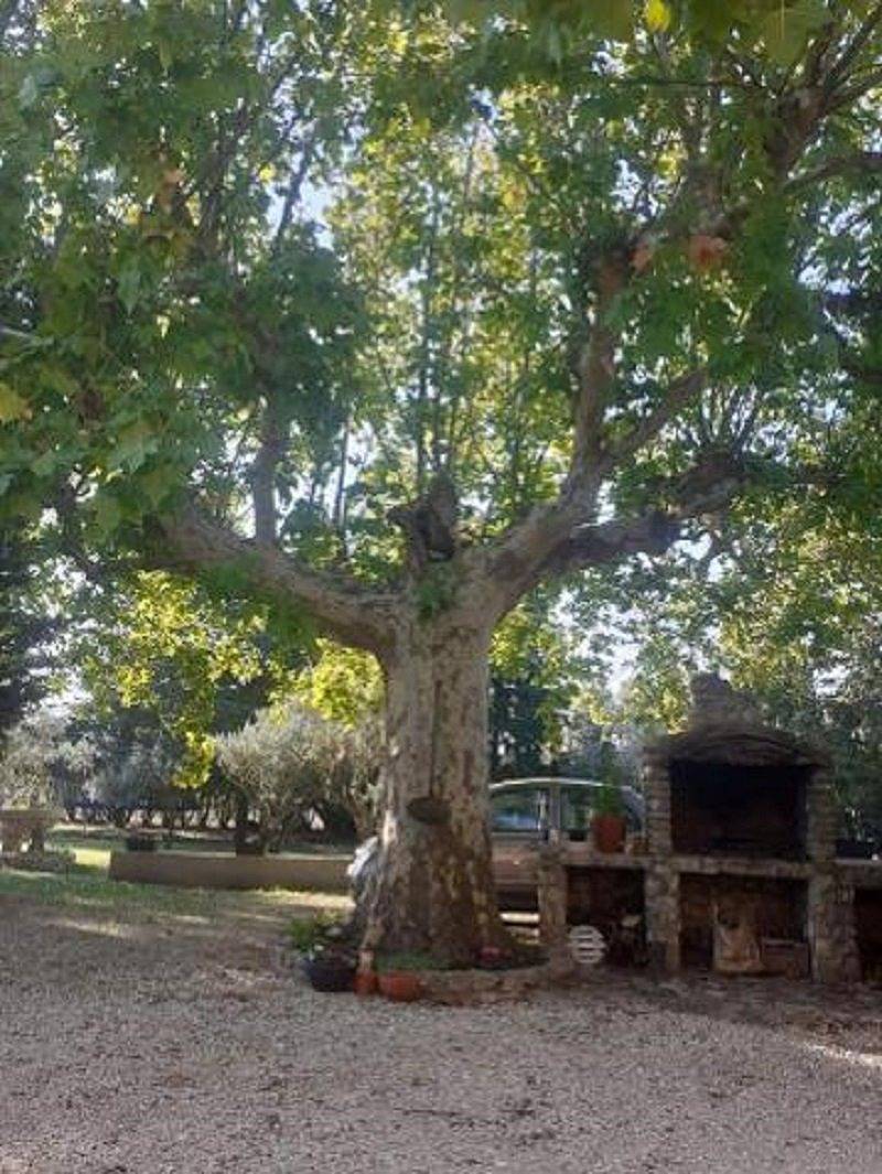 Location chambres d'hôtes- Le Mas Pacha - Chambre 1 in L'Isle-sur-la-Sorgue, Vaucluse