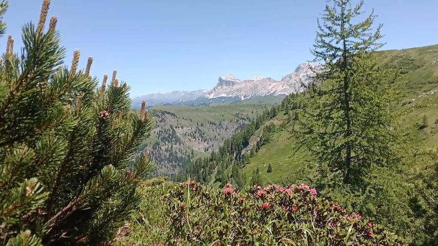 Gîte pour 6 personnes, avec balcon à Arabba - 3