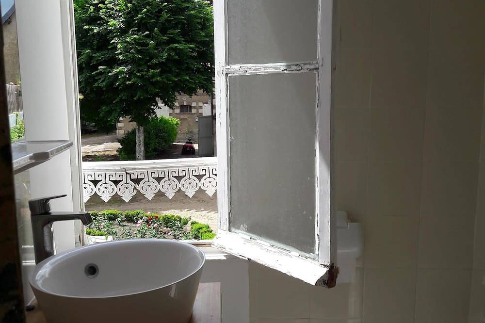 Near down town Amboise, beautiful property on a large park in Amboise, Tours region