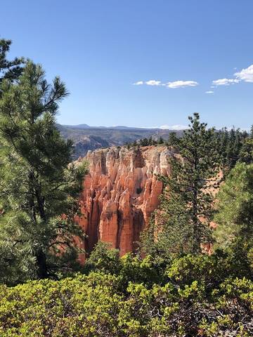 Glamping for 38 Guests in Duck Creek Village, Dixie National Forest, Picture 2