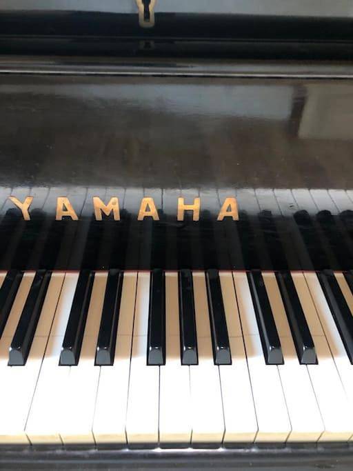 Gîte pour 14 personnes, avec vue ainsi que jardin et piscine, animaux acceptés à Krefeld - 2