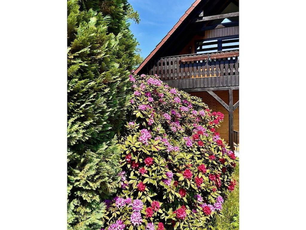 Ganze Wohnung, Lütt Heidjer Hus in Buchholz in der Nordheide, Nordheide