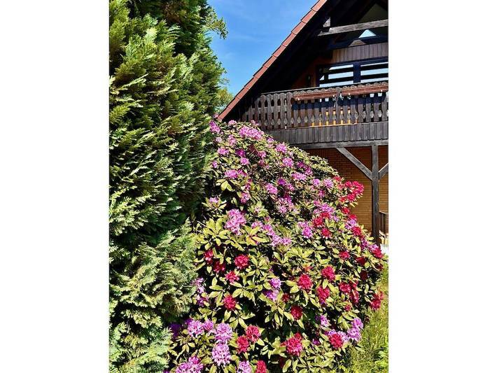 Ferienwohnung für 2 Personen, mit Garten, mit Haustier in Buchholz in der Nordheide - 3