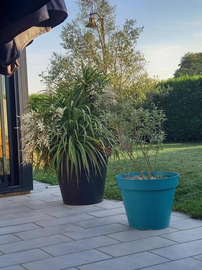 Location de vacances pour 5 personnes, avec jardin à Gerville - 3