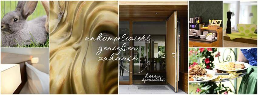 Location de vacances pour 3 personnes, avec jardin à Rielasingen-Worblingen - 3