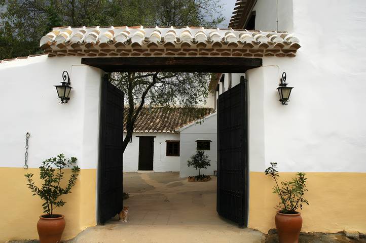 Ferienhaus für 16 Personen, mit Garten in Málaga Provinz - 2